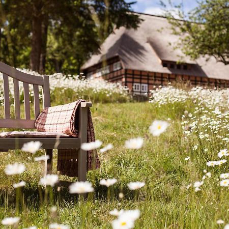 Park am See, HOTEL SPORT SPIRIT Penzlin Exterior foto